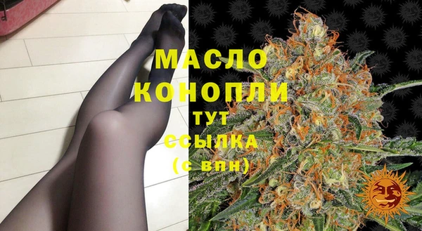 амф Гусев