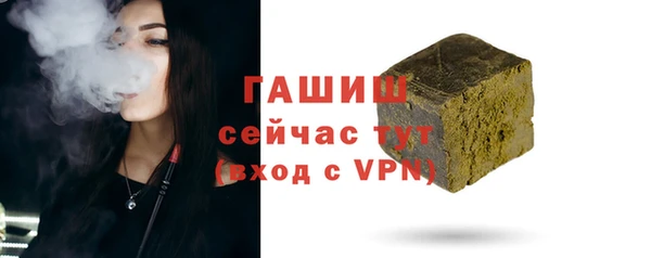 амф Гусев