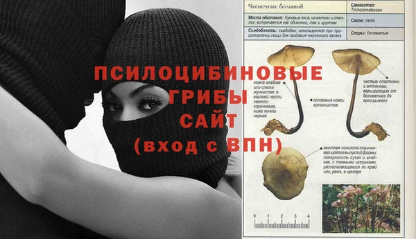 ешки Дмитров