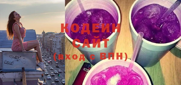 амф Гусев