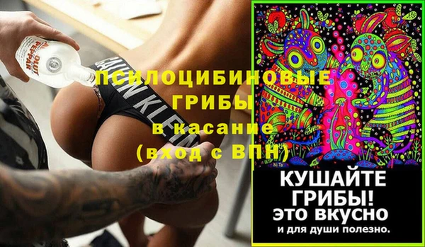 винт Гусь-Хрустальный