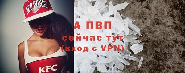 амф Гусев