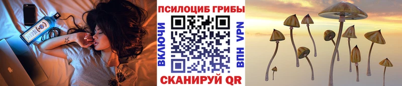 наркошоп  Волгодонск  Галлюциногенные грибы Magic Shrooms 